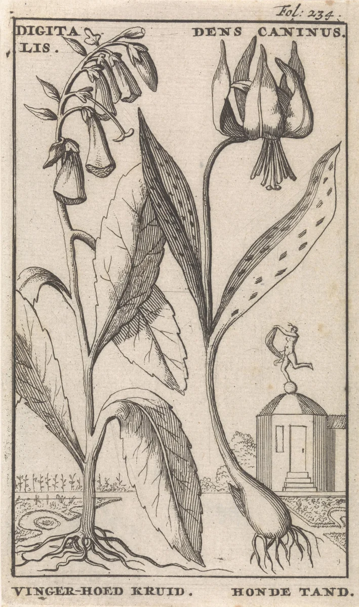 Titelpagina en acht prenten met bloemen by Caspar Luyken, print, 1698
