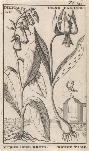 Titelpagina en acht prenten met bloemen by Caspar Luyken, print, 1698