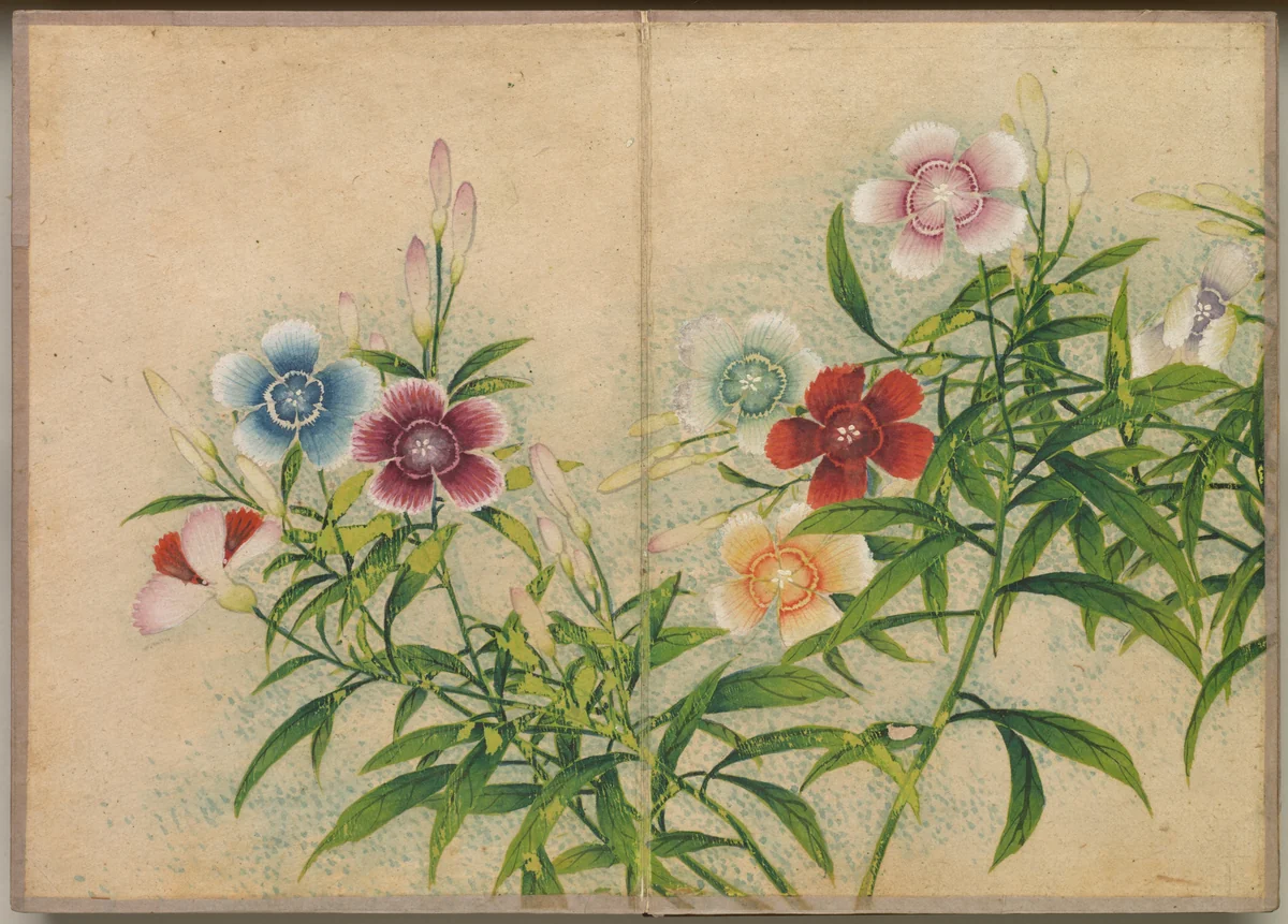 Desk Album: Flower and Bird Paintings (Pinks) by Zhang Ruoai, painting, 1700-1799