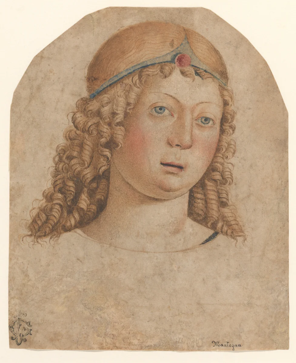 Head of a Youth with a Diadem by Cristoforo Caselli, drawing, 1471-1535