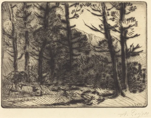 Woods in Winter Sun, 2nd plate (Soleil d'hiver dans les bois) by Alphonse Legros, print, 1837-1911