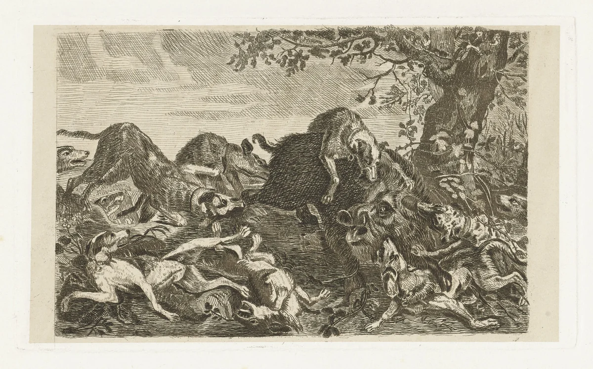 Hondenjacht op een everzwijn by Jan Cassiers, print, 1700-1800