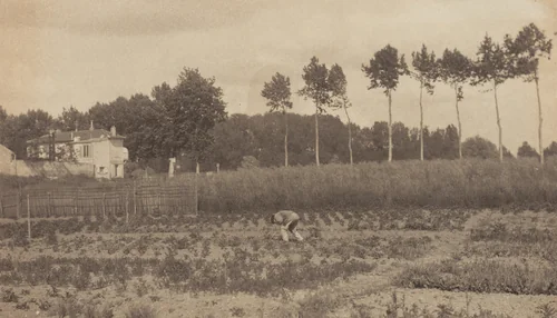 In the Suburbs of Paris by Alfred Stieglitz, photograph, 1894