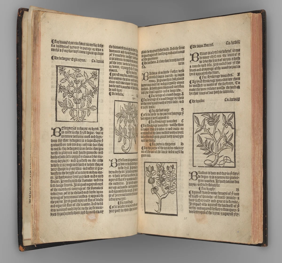 The Grete Herball by Peter Treveris, book, 1526