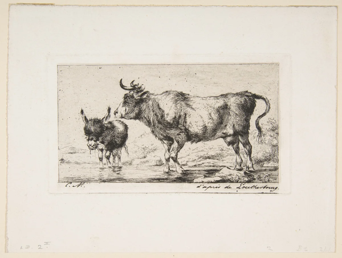 Cow and Ass by Charles Meryon, print, 1849