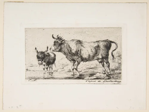 Cow and Ass by Charles Meryon, print, 1849