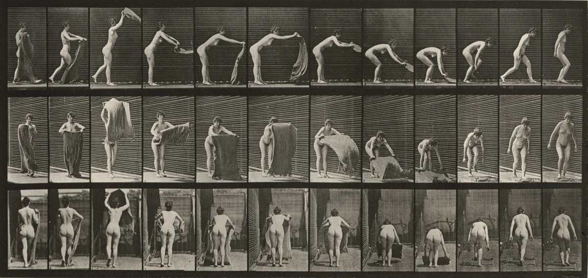 Plate Number 439. Spreading a rug on the floor by Eadweard Muybridge, photograph, 1887
