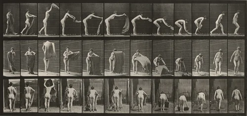 Plate Number 439. Spreading a rug on the floor by Eadweard Muybridge, photograph, 1887