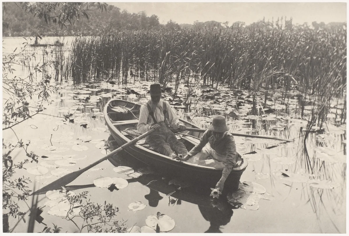 Gathering Water-Lilies by Peter Henry Emerson, photograph, 1886