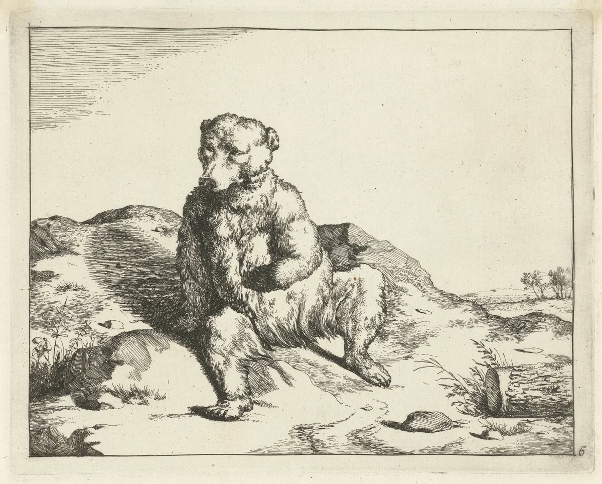 Zittende beer van voren gezien by Marcus de Bye, print, 1657-1677
