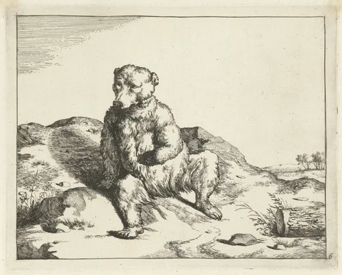 Zittende beer van voren gezien by Marcus de Bye, print, 1657-1677