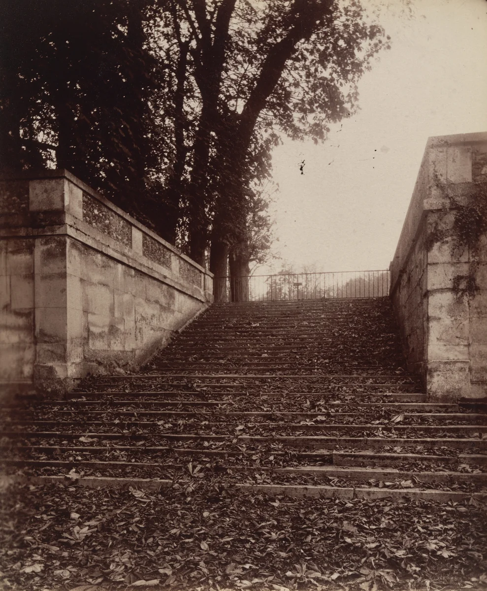 Saint-Cloud by Eugène Atget, photograph, 1906