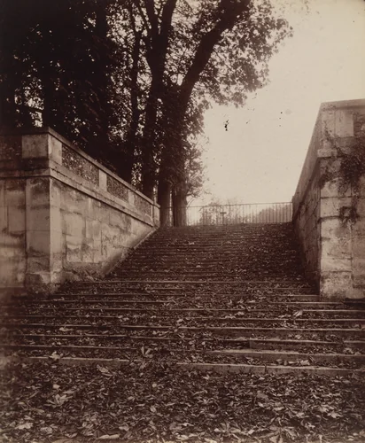 Saint-Cloud by Eugène Atget, photograph, 1906