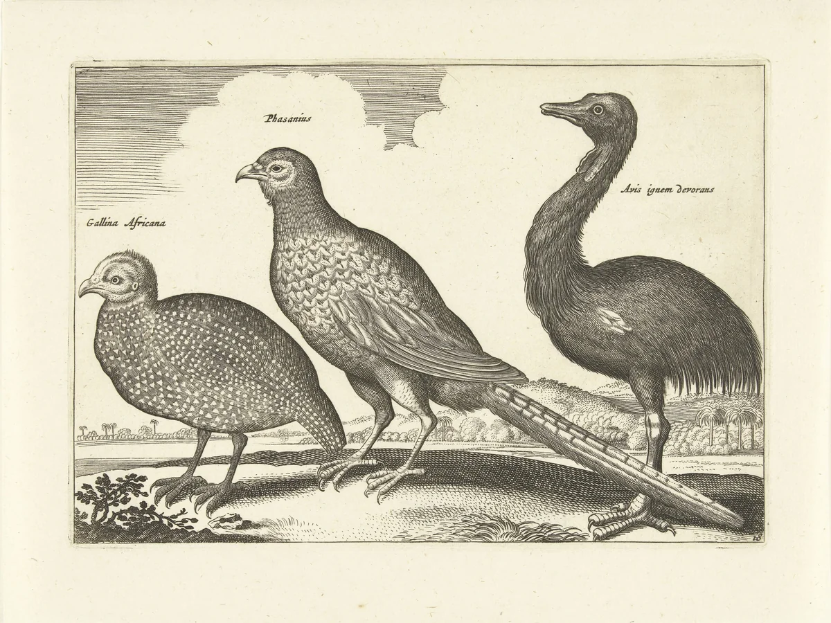 Drie vogels by anonymous, print, 1659