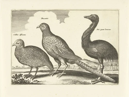 Drie vogels by anonymous, print, 1659