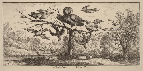 Monedula, The Owl by Albert Flamen, print, 1620-1669