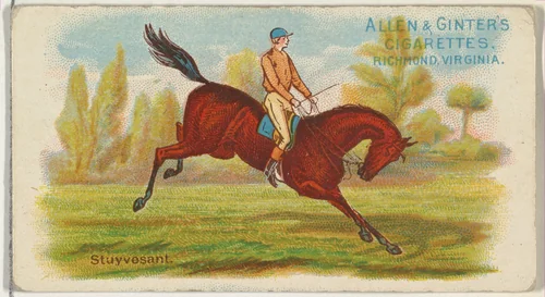 Stuyvesant, from The World's Racers series (N32) for Allen & Ginter Cigarettes by Allen & Ginter, print, 1888