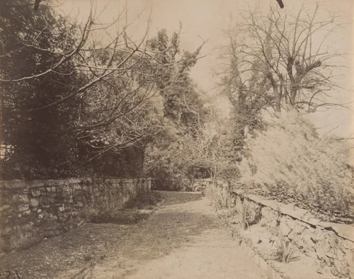 Parc Delessert, 32 Quai de Passy by Eugène Atget, photograph, 1914
