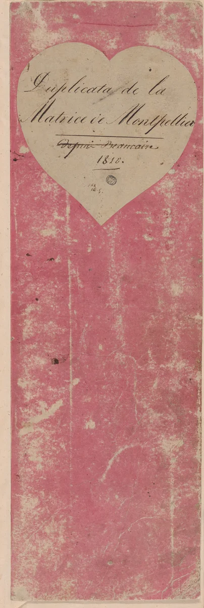 Copy of the Goods of Montpellier by France, textile, 1810