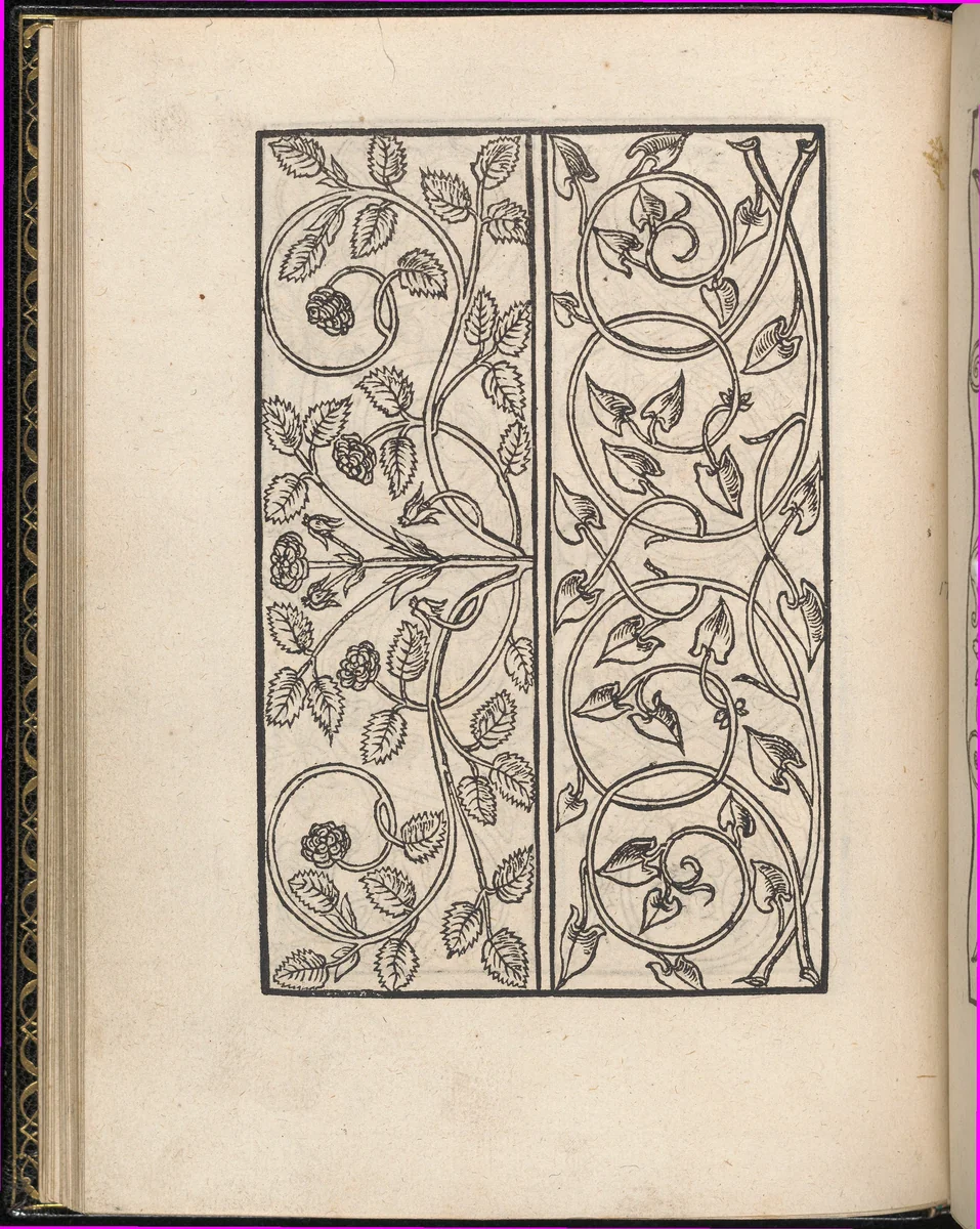 Page from Ein new kunstlich Modelbuch...(Page 17v) by Peter Quentel, book, 1544