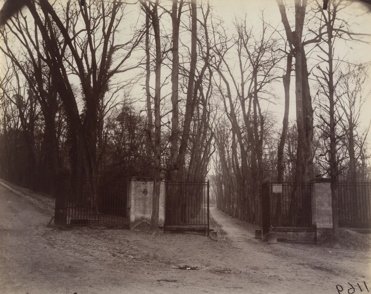 Saint-Cloud by Eugène Atget, photograph, 1923