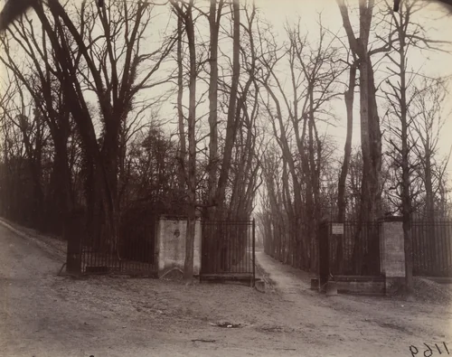 Saint-Cloud by Eugène Atget, photograph, 1923