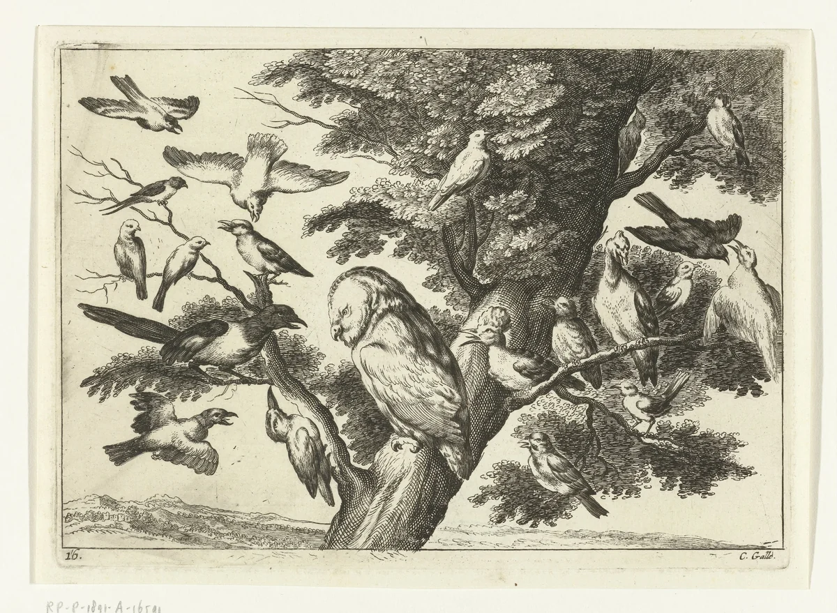 Vogels in een boom by Peter van Liesebetten, print, 1654-1678