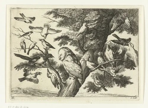 Vogels in een boom by Peter van Liesebetten, print, 1654-1678