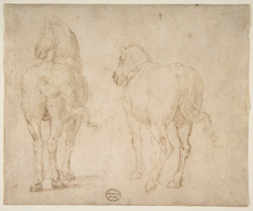 Horses by Parmigianino, drawing, 1530-1540