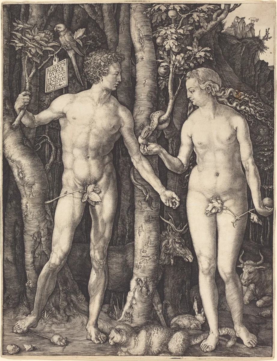Adam and Eve by Albrecht Dürer, print, 1504