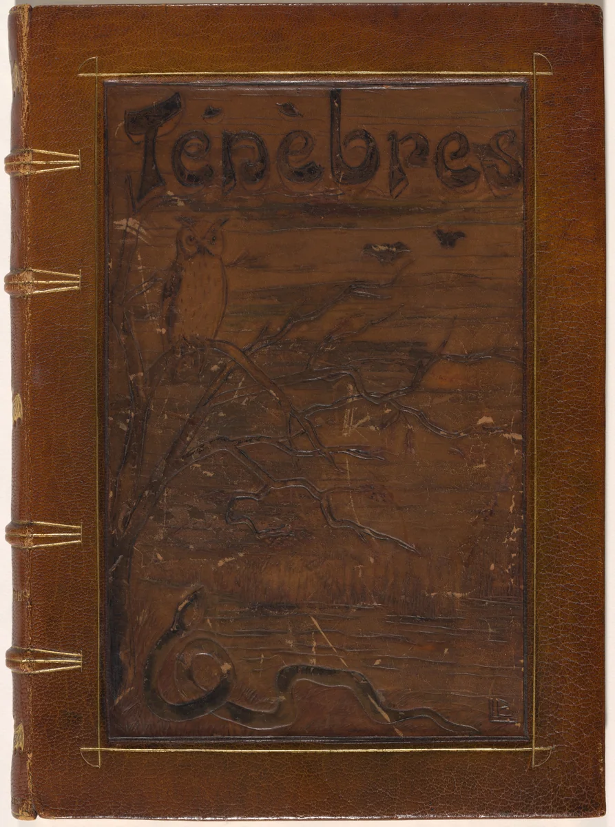Ténèbres (Darkness) by Odilon Redon, volume, 1892