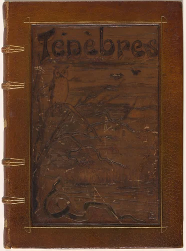 Ténèbres (Darkness) by Odilon Redon, volume, 1892