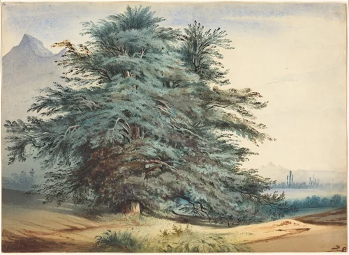 Two Ancient Trees before a Mountain Peak by Jules Dupré, drawing, 1825-1835
