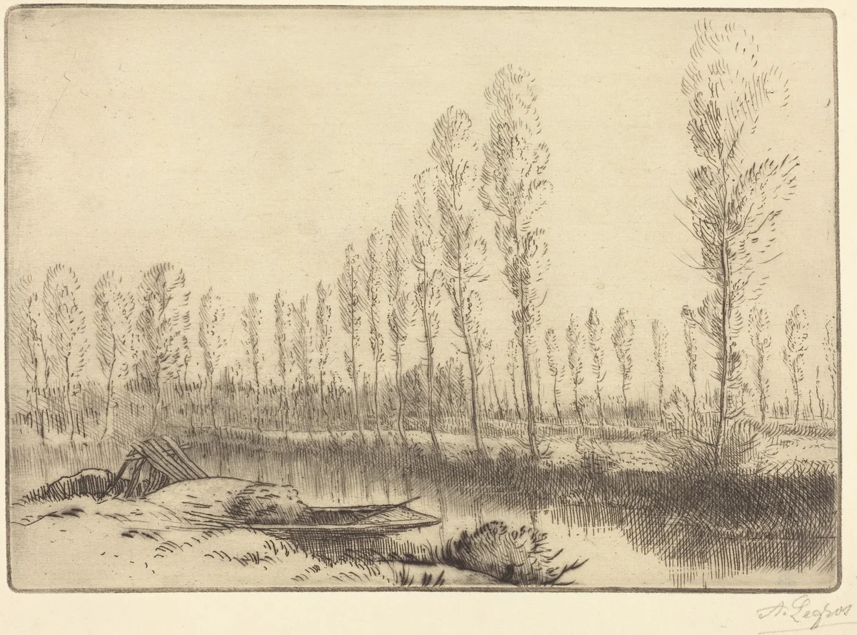 Poplars near Amiens (Pres d'Amiens, les tourbieres) by Alphonse Legros, print, 1837-1911