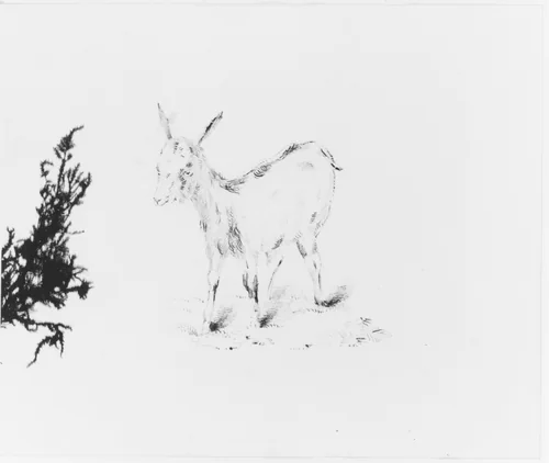 Goat (from Sketchbook) by John William Casilear, artwork, 1834-1838