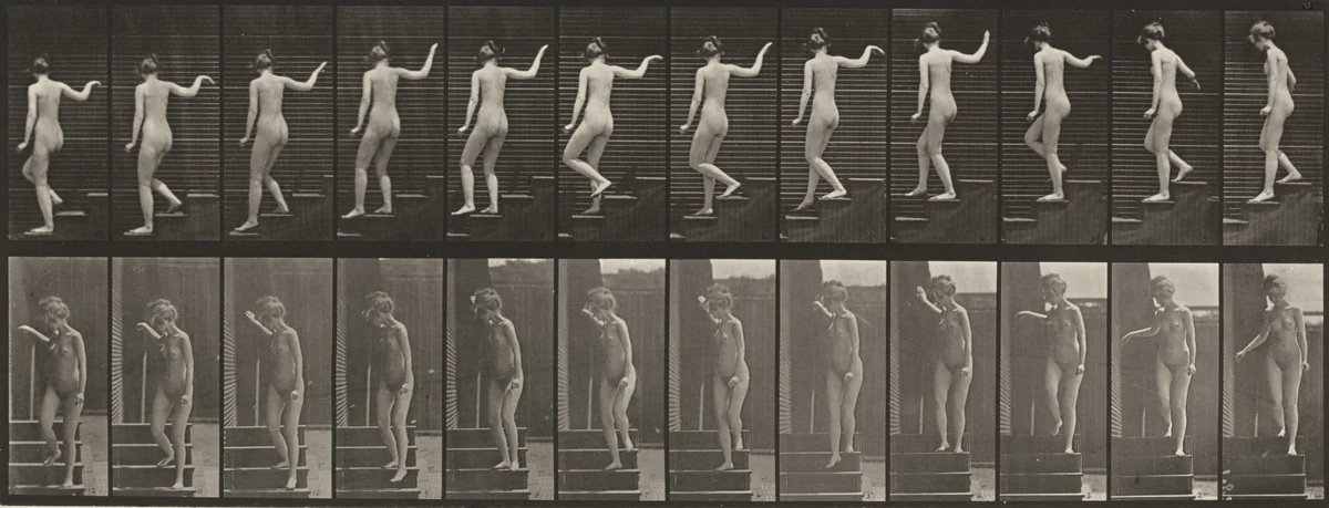 Plate Number 132. Descending stairs, turning to look around and waving hand by Eadweard Muybridge, photograph, 1887