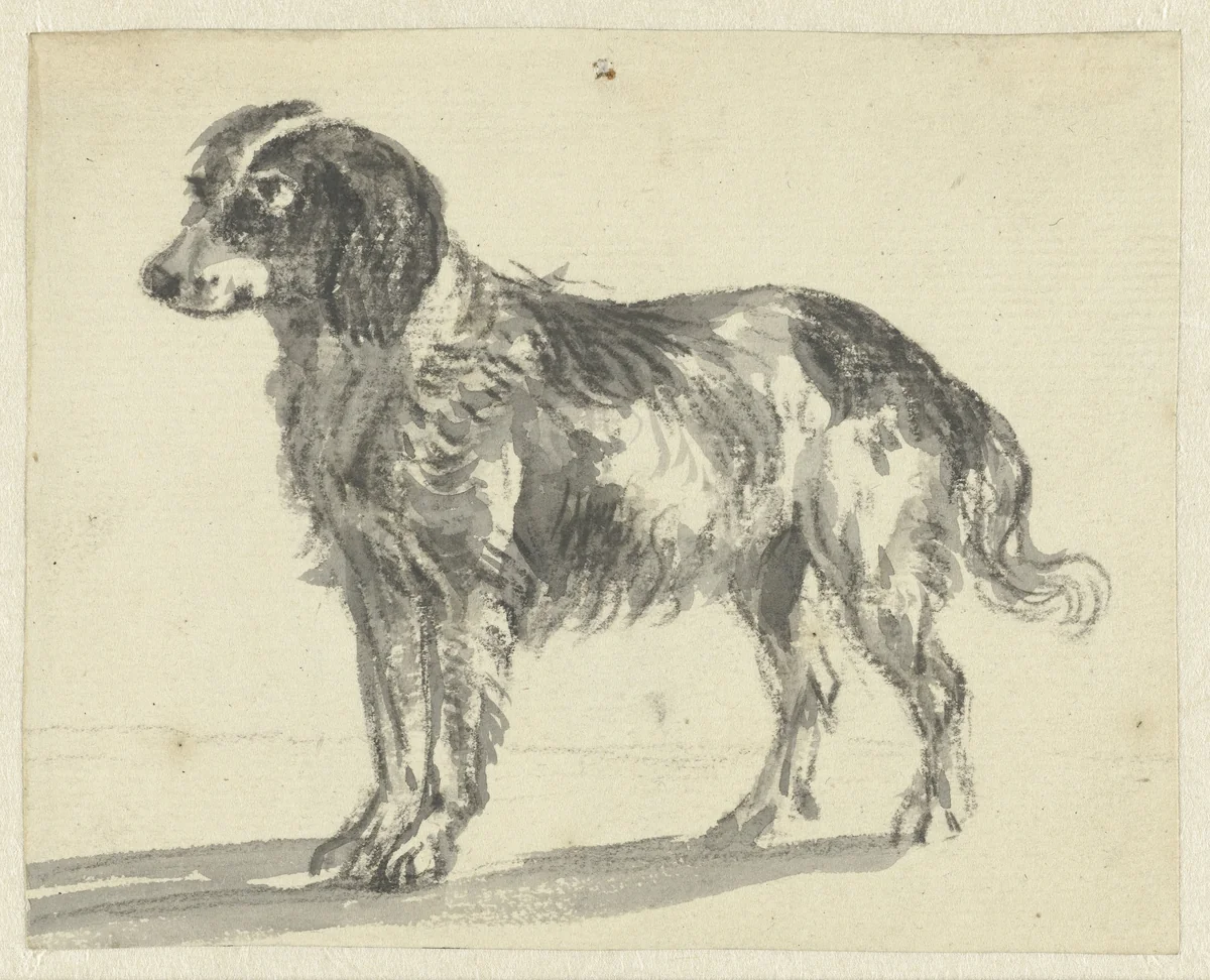 Staande hond by Jan Dasveldt, drawing, 1780-1855