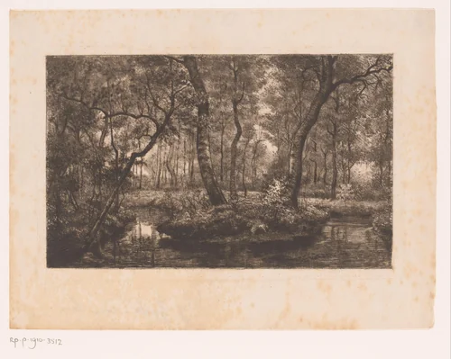 Boslandschap met beek by Jules Guiette, print, 1862-1901