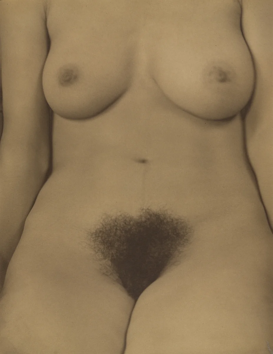 Georgia O'Keeffe--Torso by Alfred Stieglitz, photograph, 1918