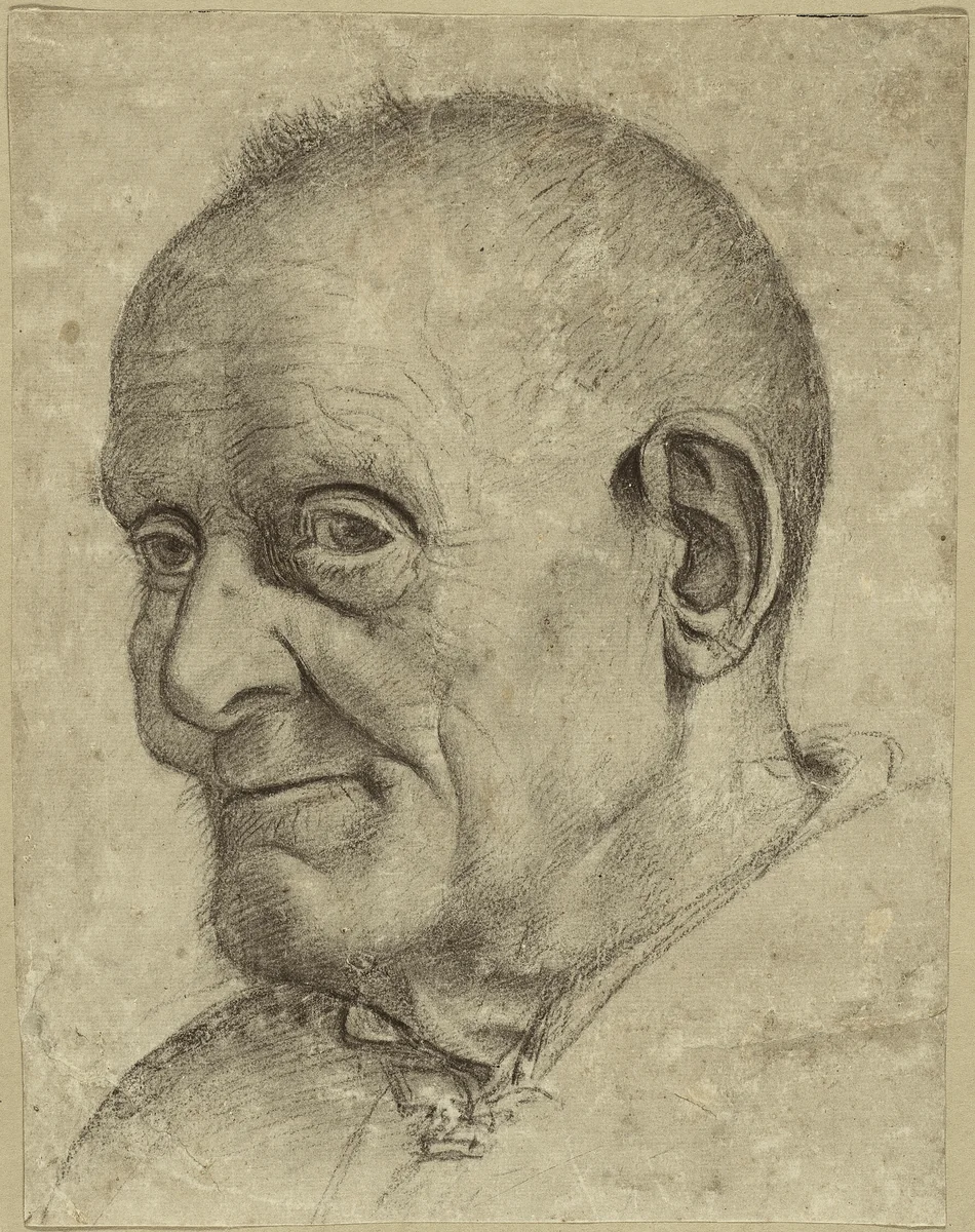 Portrait of an Old Man by Francesco Bonsignori, drawing, 1450-1499