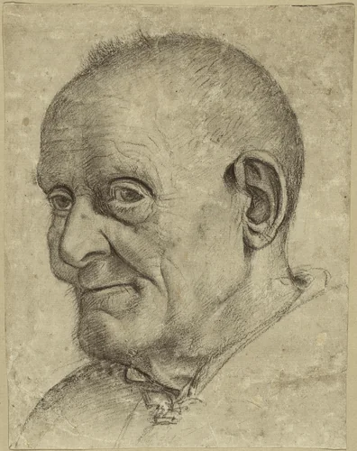 Portrait of an Old Man by Francesco Bonsignori, drawing, 1450-1499