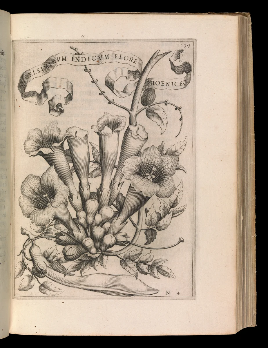De Florum Cultura by Giovanni Battista Ferrari, book, 1633