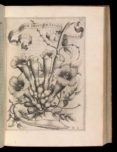 De Florum Cultura by Giovanni Battista Ferrari, book, 1633