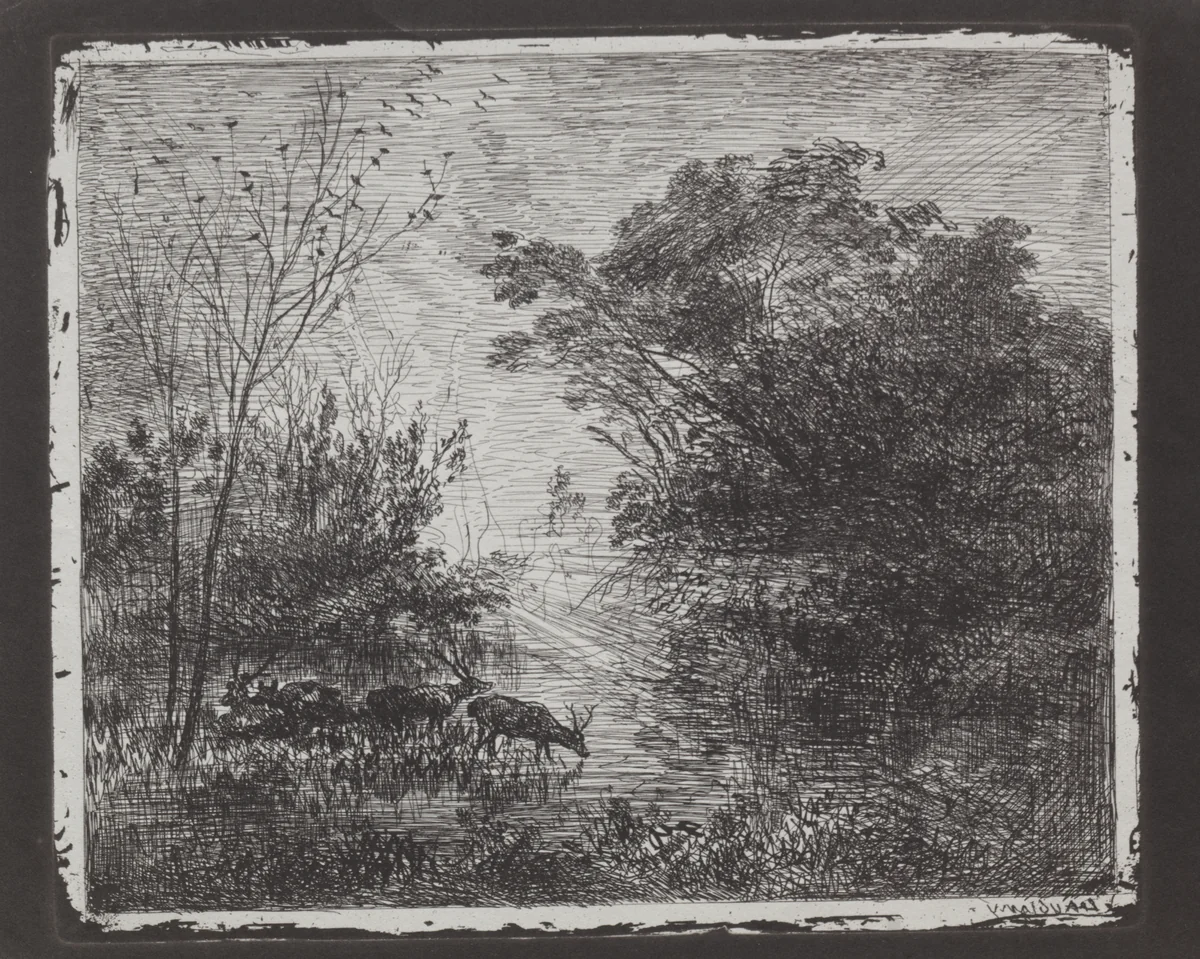 Deer by Charles-François Daubigny, print, 1857-1867
