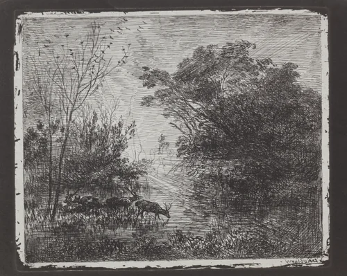Deer by Charles-François Daubigny, print, 1857-1867