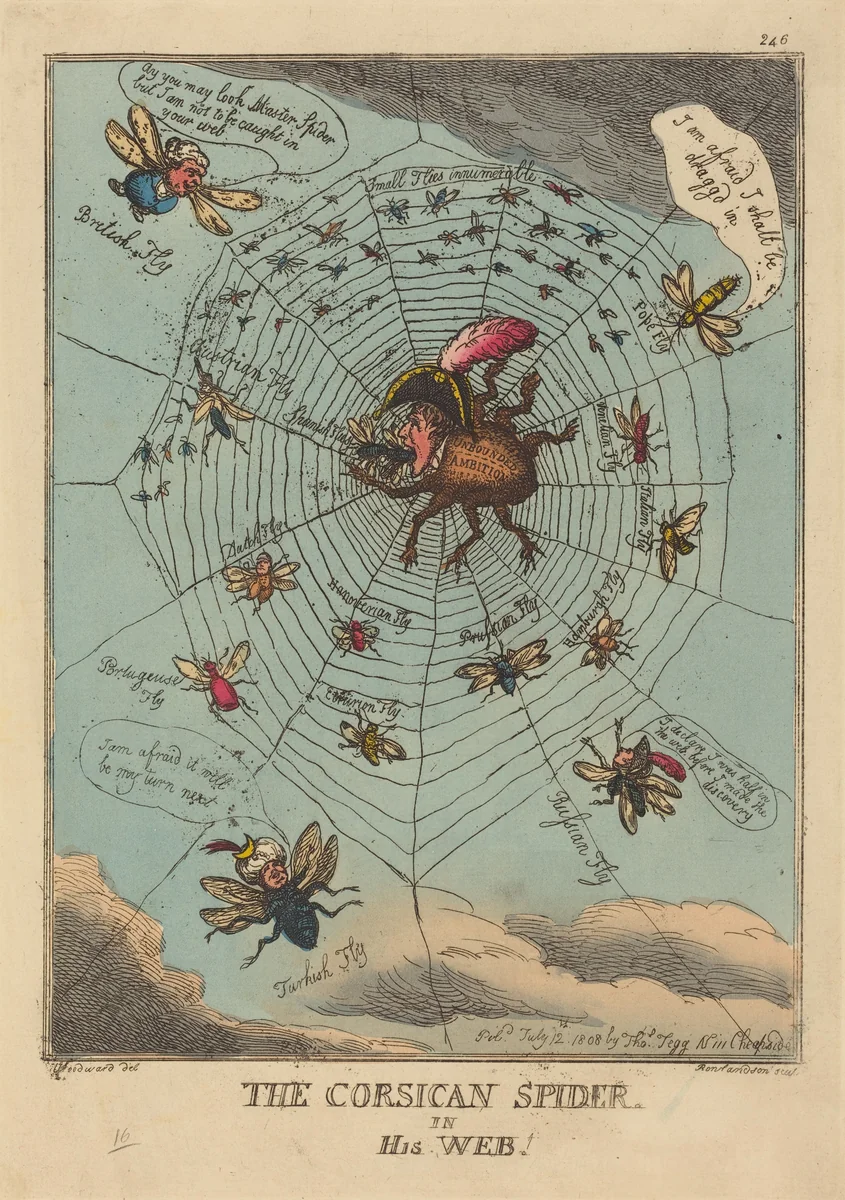 The Corsican Spider in his Web by Thomas Rowlandson, print, 1808