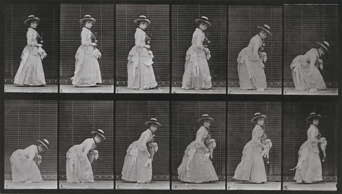Plate Number 211. Stooping and lifting a handkerchief, a parasol in left hand by Eadweard Muybridge, photograph, 1887