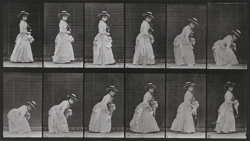 Plate Number 211. Stooping and lifting a handkerchief, a parasol in left hand by Eadweard Muybridge, photograph, 1887