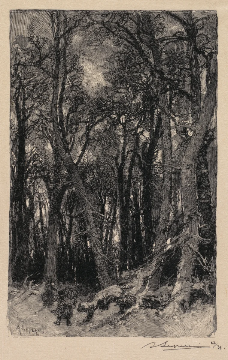 Fontainebleau Forest: Bas-Bréau (La Forêt de Fontainebleau: Le Bas-Bréau) by Auguste Louis Lepère, book, 1890