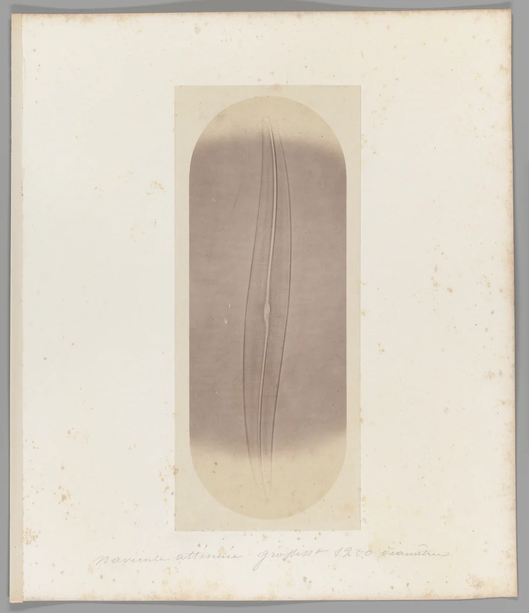 [Untitled] by Auguste-Adolphe Bertsch, photograph, 1853-1857